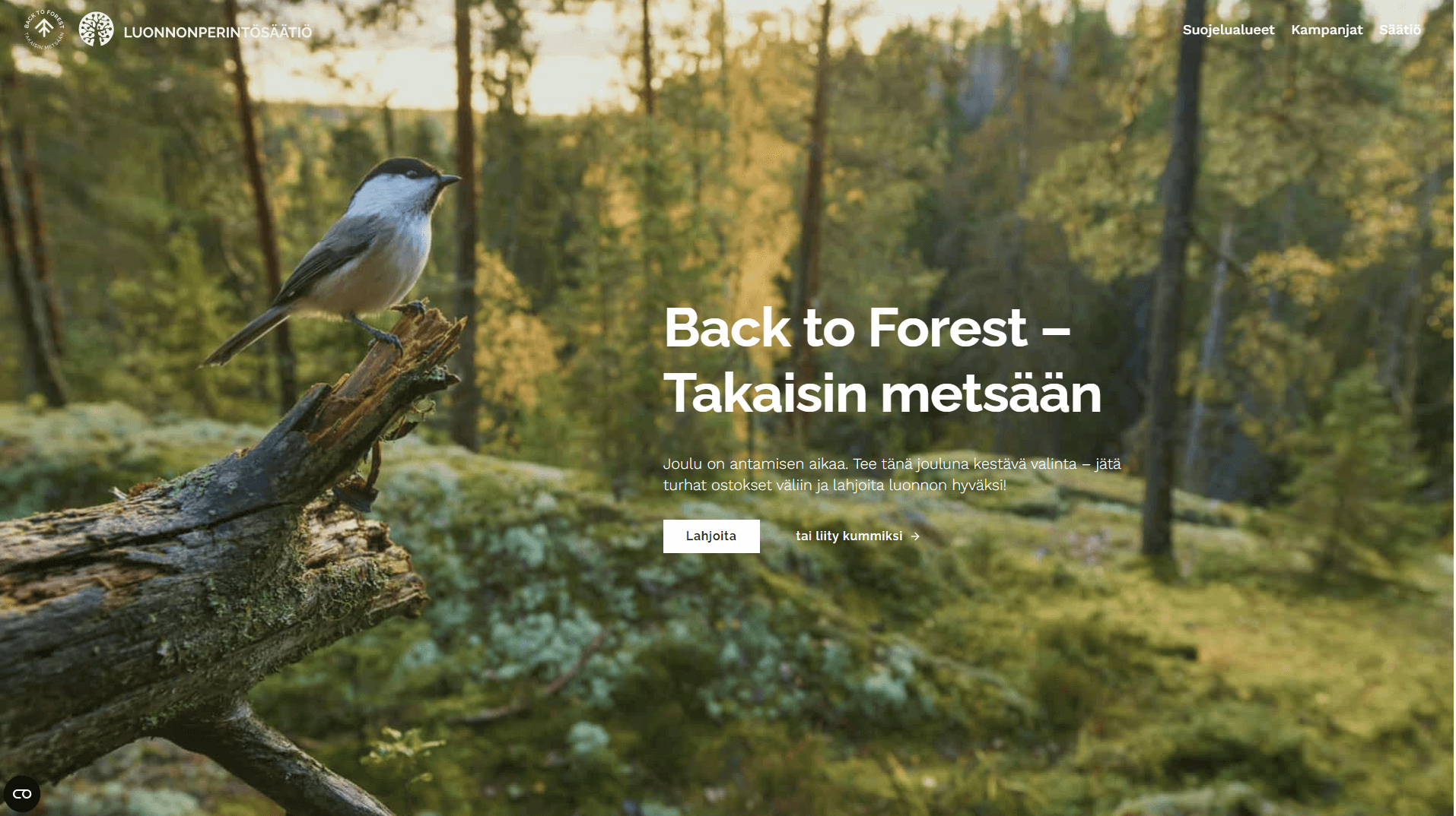 back-to-forest